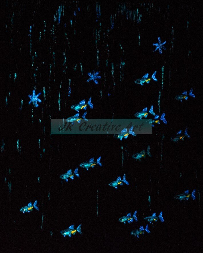 GLOWING TETRAS - Image 2